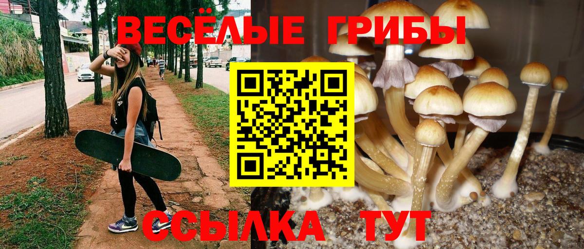 Вейп ТГК  Вход с VPN  Канабис  Каменск-Уральский  Мефедрон кристаллы  ГАШ  МЕТ 