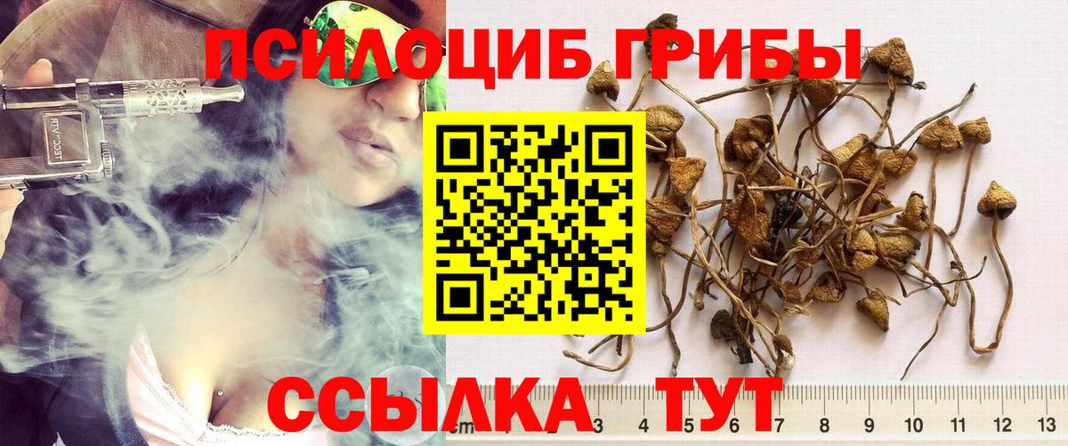 Псилоцибиновые грибы MAGIC MUSHROOMS  Вход с VPN  Каменск-Уральский 
